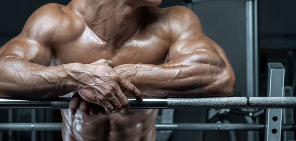 What Is natural steroids in food and How Does It Work?